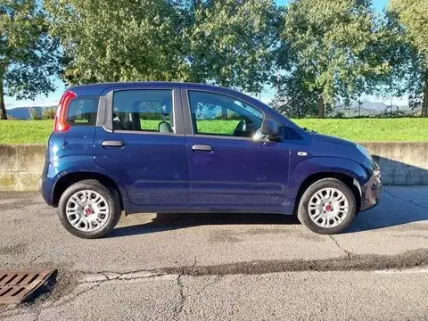 Annonce FIAT PANDA Essence 2018 d'occasion 