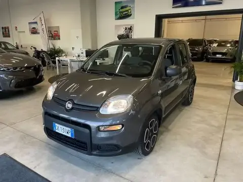 Annonce FIAT PANDA Hybride 2022 d'occasion 