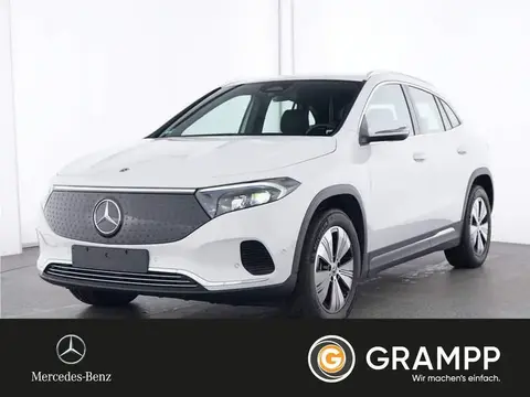 Used MERCEDES-BENZ EQA Not specified 2024 Ad 