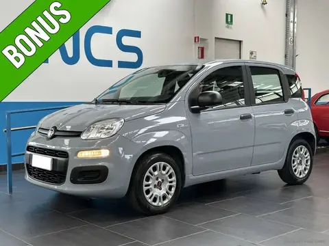 Annonce FIAT PANDA Hybride 2022 d'occasion 