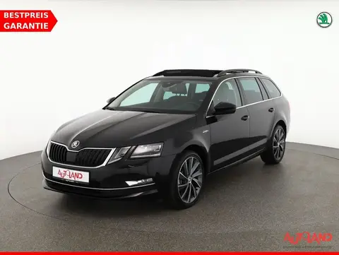 Annonce SKODA OCTAVIA Diesel 2019 d'occasion 