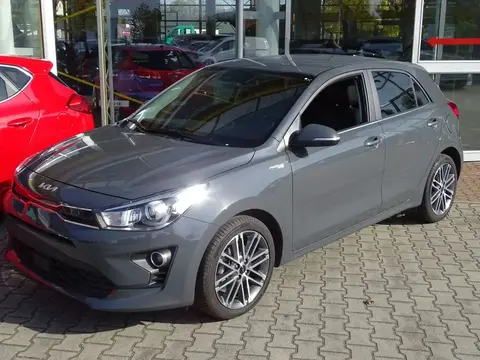 Used KIA RIO Petrol 2021 Ad 