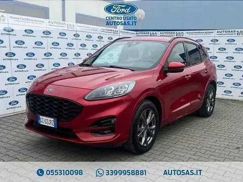 Annonce FORD KUGA Diesel 2020 d'occasion 