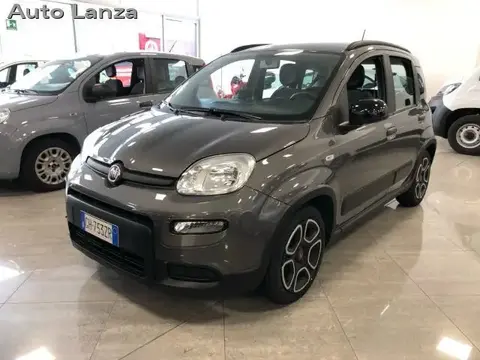 Used FIAT PANDA Hybrid 2022 Ad 