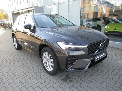 Used VOLVO XC60 Petrol 2024 Ad 