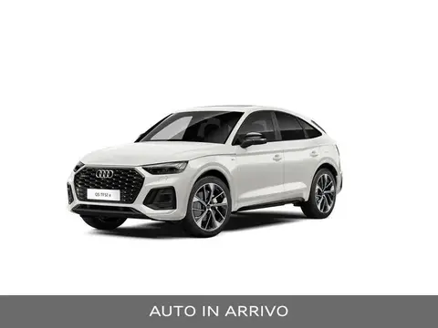 Used AUDI Q5  2021 Ad 