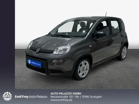 Used FIAT PANDA Petrol 2024 Ad 