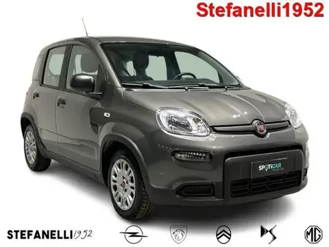 Used FIAT PANDA Hybrid 2022 Ad 