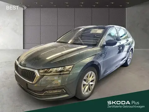 Used SKODA OCTAVIA Petrol 2020 Ad 