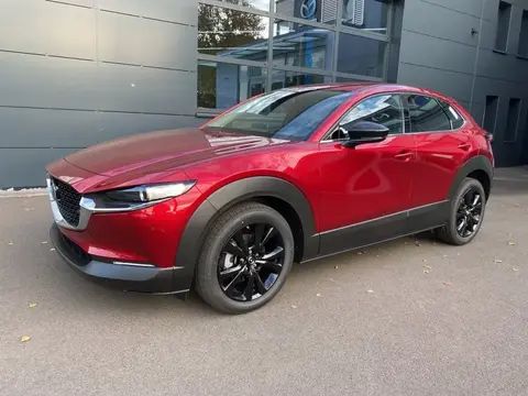 Annonce MAZDA CX-30 Hybride 2024 d'occasion 