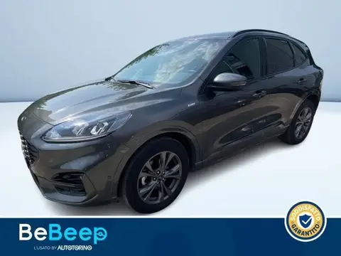 Used FORD KUGA Hybrid 2022 Ad 