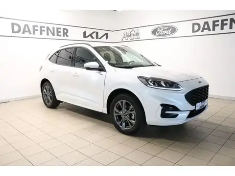 Used FORD KUGA Hybrid 2023 Ad 