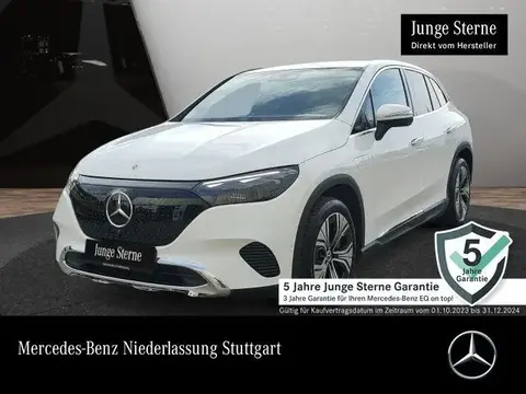 Used MERCEDES-BENZ EQE Not specified 2023 Ad 