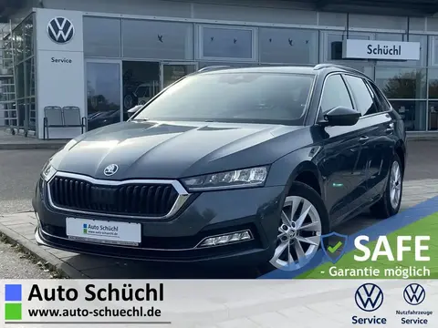 Used SKODA OCTAVIA Petrol 2020 Ad 