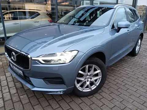 Used VOLVO XC60 Diesel 2019 Ad 