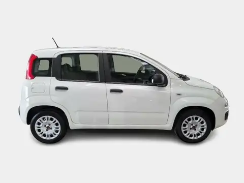 Used FIAT PANDA Petrol 2020 Ad 