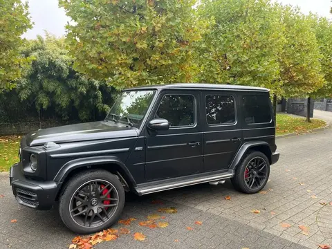 Annonce MERCEDES-BENZ CLASSE G Essence 2024 d'occasion 