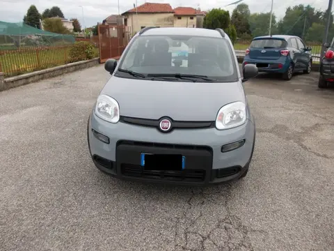 Used FIAT PANDA Hybrid 2022 Ad 