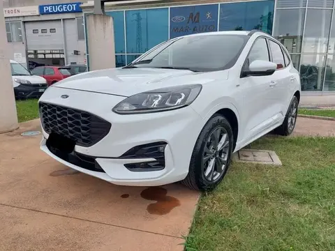 Used FORD KUGA Petrol 2021 Ad 