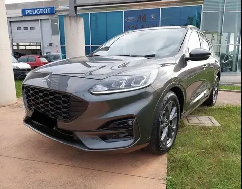 Annonce FORD KUGA Diesel 2021 d'occasion 