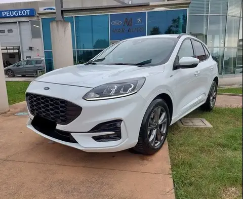 Annonce FORD KUGA Hybride 2021 d'occasion 