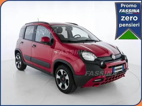 Used FIAT PANDA Hybrid 2024 Ad 