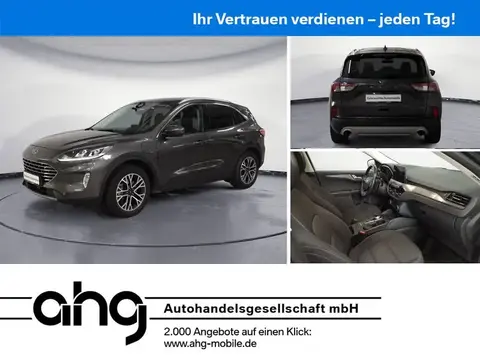 Used FORD KUGA Hybrid 2021 Ad 