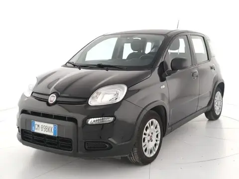 Used FIAT PANDA Hybrid 2023 Ad 