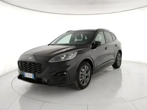 Annonce FORD KUGA Hybride 2021 d'occasion 