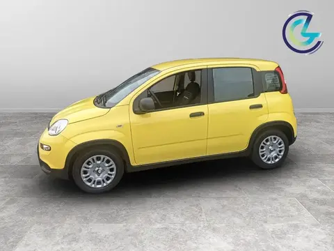 Annonce FIAT PANDA Hybride 2024 d'occasion 