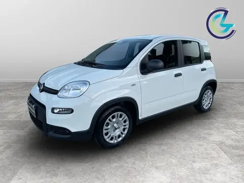 Annonce FIAT PANDA Hybride 2024 d'occasion 