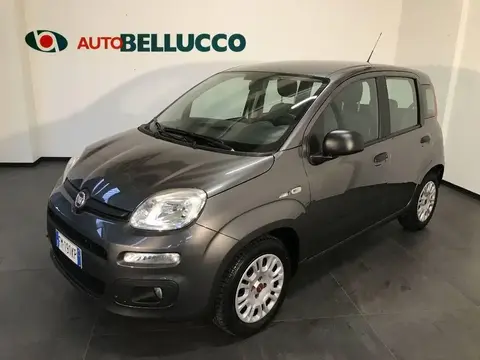 Used FIAT PANDA Petrol 2017 Ad 