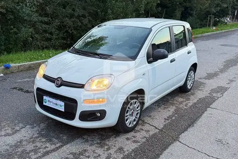 Used FIAT PANDA Petrol 2020 Ad 