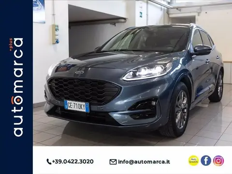 Used FORD KUGA Hybrid 2021 Ad 