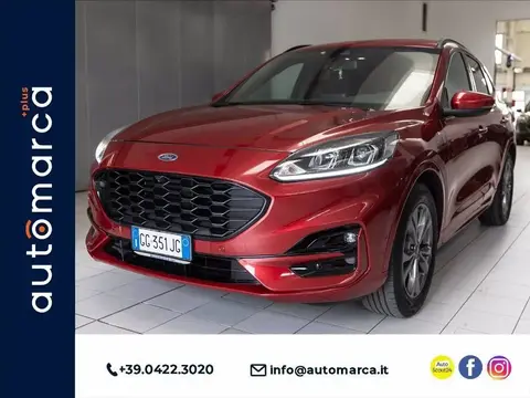 Used FORD KUGA Hybrid 2021 Ad 