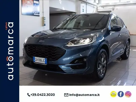 Annonce FORD KUGA Hybride 2021 d'occasion 