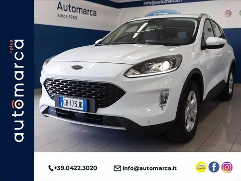 Used FORD KUGA Hybrid 2022 Ad 