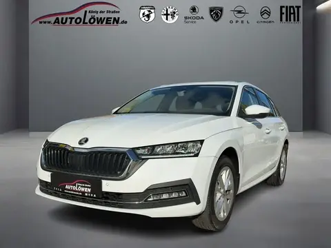 Annonce SKODA OCTAVIA Diesel 2021 d'occasion 