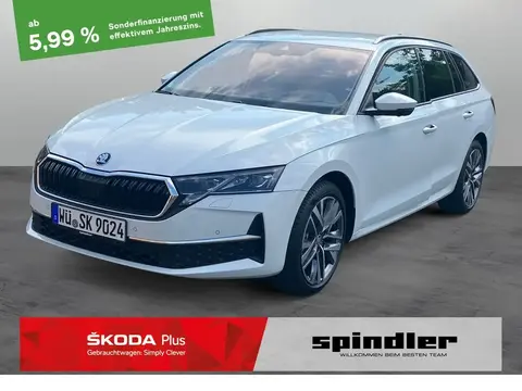 Annonce SKODA OCTAVIA Diesel 2024 d'occasion 