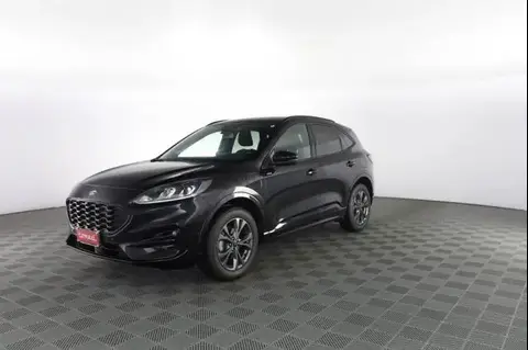 Used FORD KUGA Hybrid 2022 Ad 