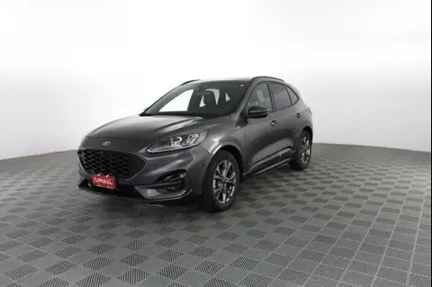 Annonce FORD KUGA Hybride 2023 d'occasion 