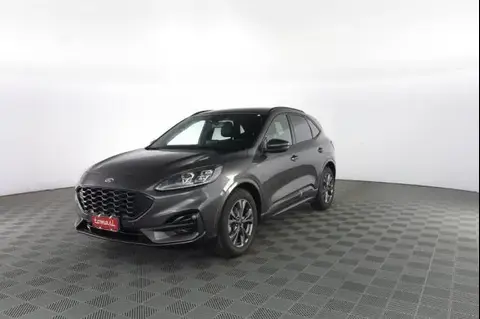 Annonce FORD KUGA Hybride 2023 d'occasion 