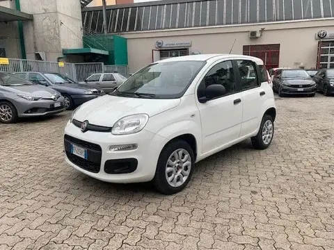 Used FIAT PANDA  2018 Ad 