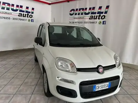 Annonce FIAT PANDA Essence 2020 d'occasion 