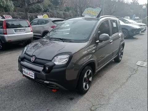 Used FIAT PANDA Hybrid 2023 Ad 