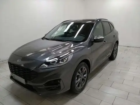 Used FORD KUGA Hybrid 2021 Ad 