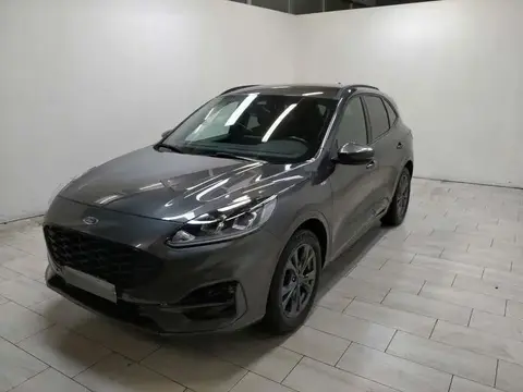 Annonce FORD KUGA Diesel 2021 d'occasion 