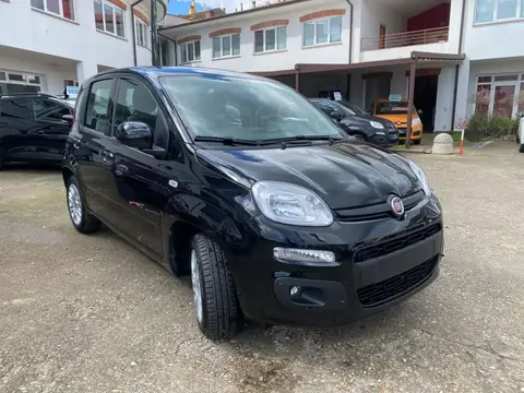 Used FIAT PANDA LPG 2021 Ad 