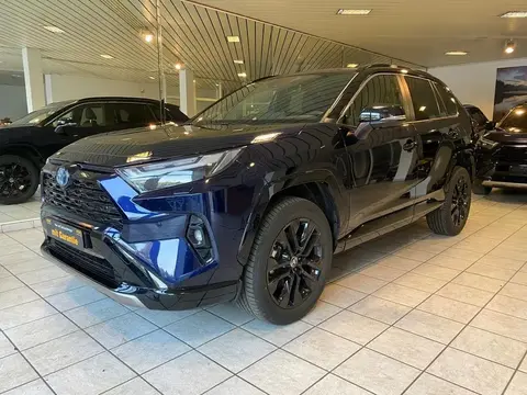 Used TOYOTA RAV4 Hybrid 2024 Ad 