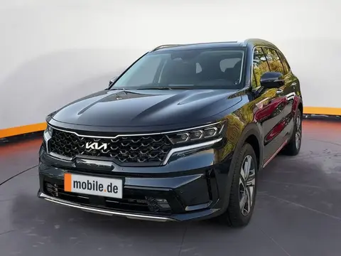 Annonce KIA SORENTO Essence 2024 d'occasion 